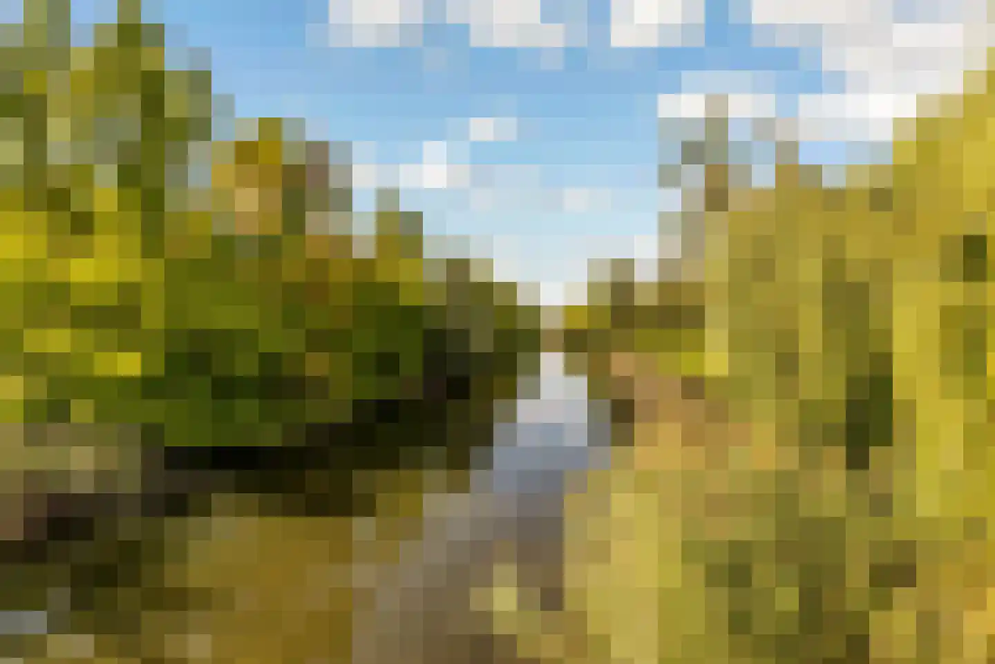 Albrecht Dürerweg 50 Almere thumbnail 54