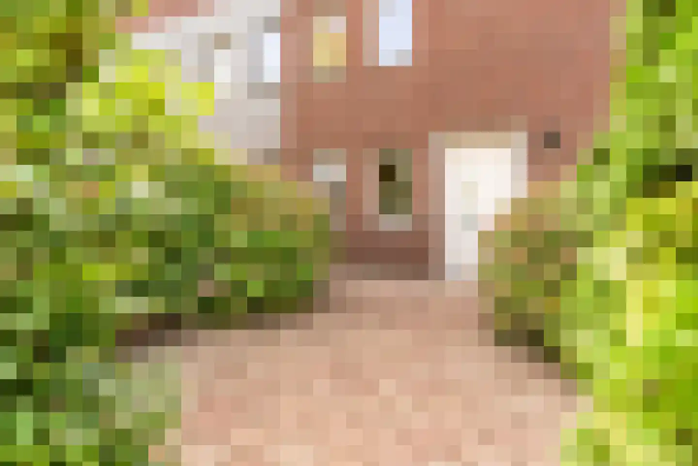 Albrecht Dürerweg 50 Almere thumbnail 6