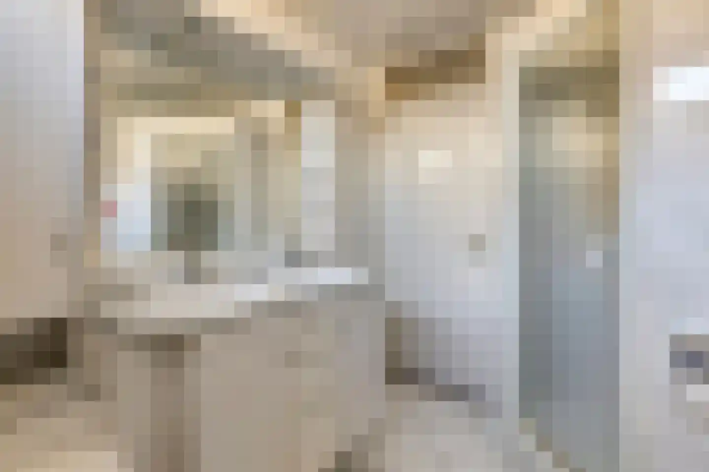 Albrecht Rodenbachplein 44 Bladel thumbnail 30