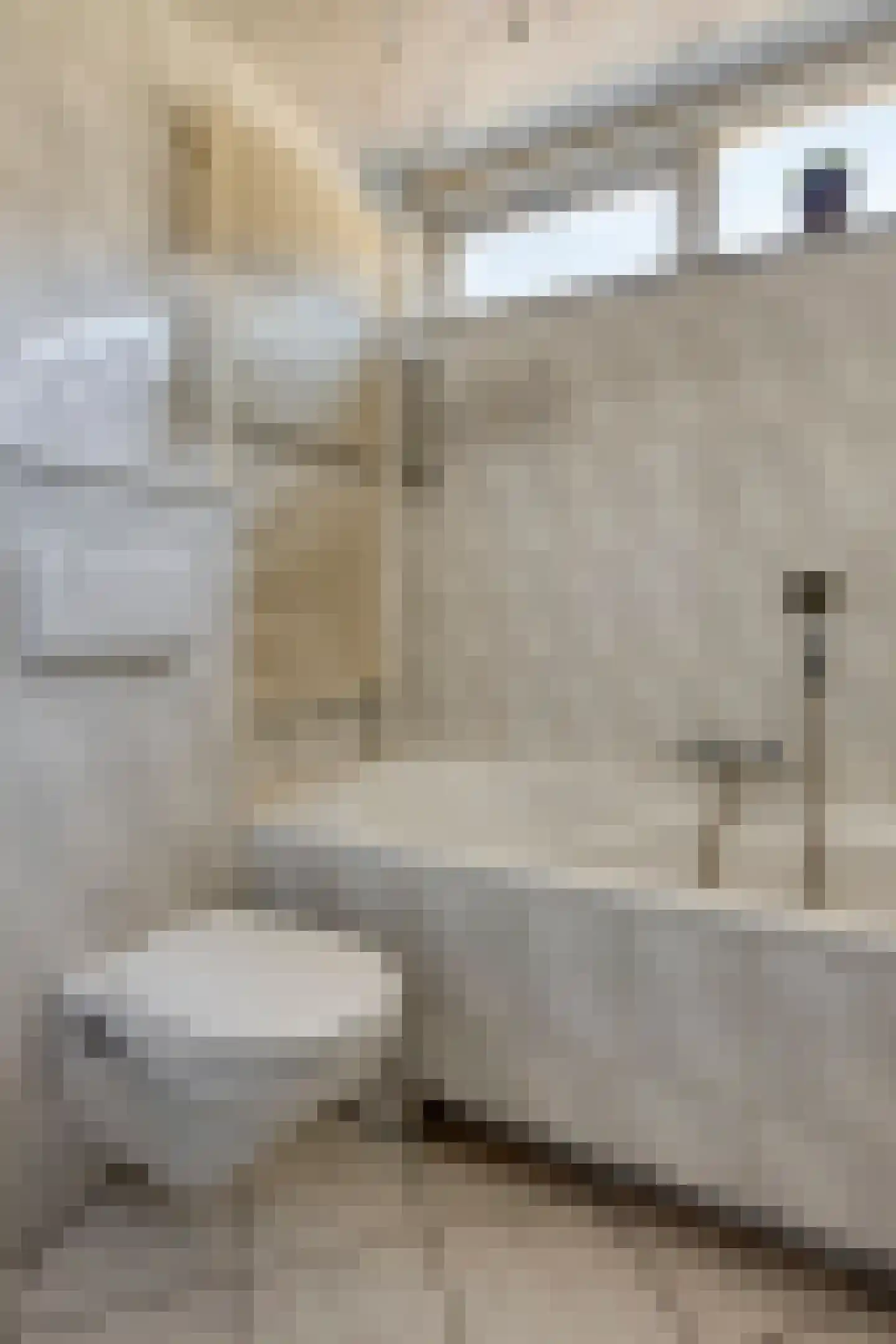 Albrecht Rodenbachplein 44 Bladel thumbnail 31
