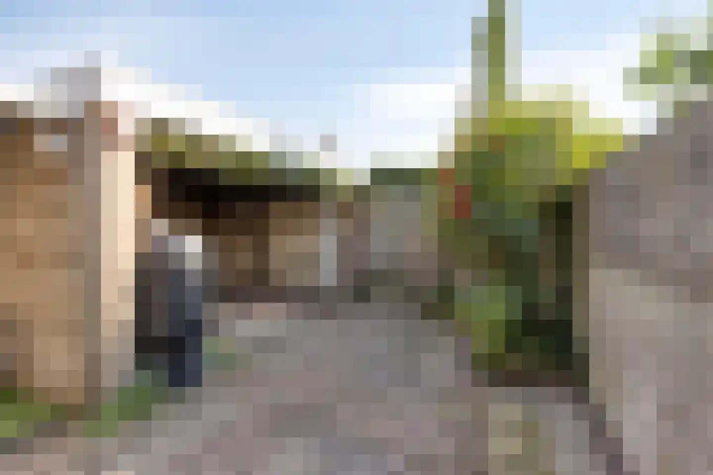 Albrecht Rodenbachplein 44 Bladel thumbnail 38