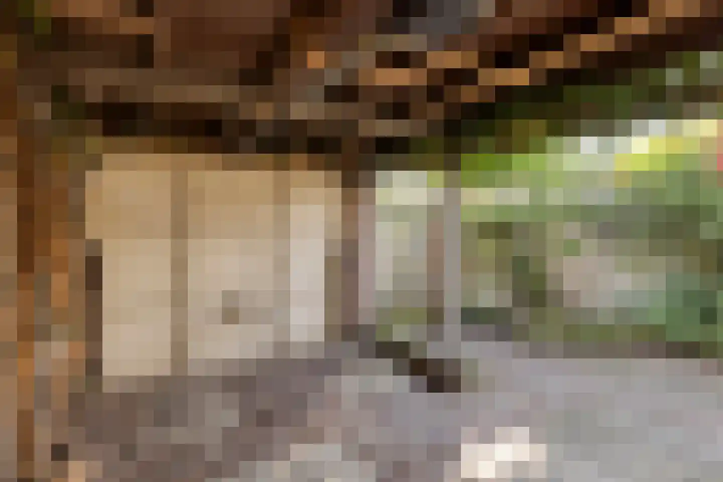 Albrecht Rodenbachplein 44 Bladel thumbnail 39