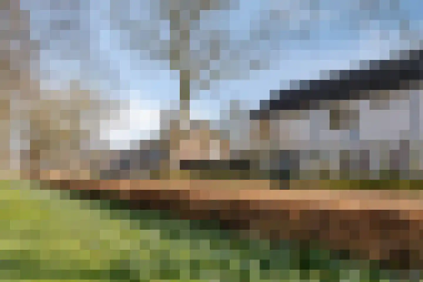 Albrecht Rodenbachplein 44 Bladel thumbnail 46