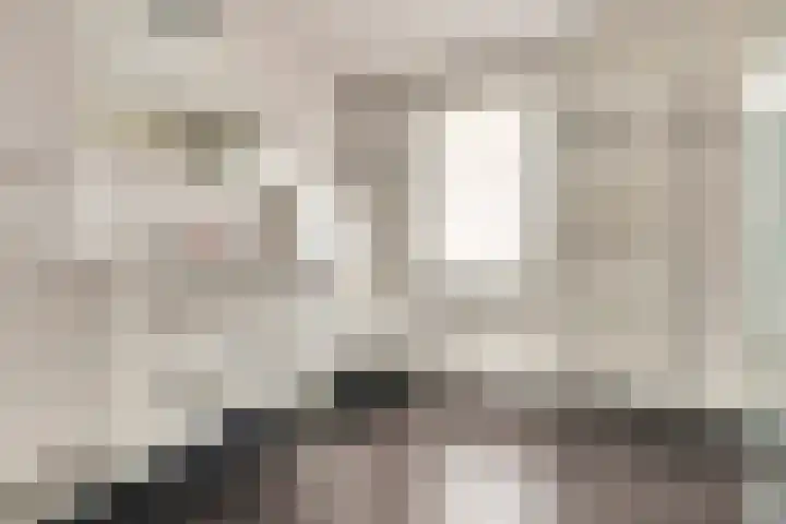 Albrecht Rodenbachstraat 10 Waalwijk thumbnail 19