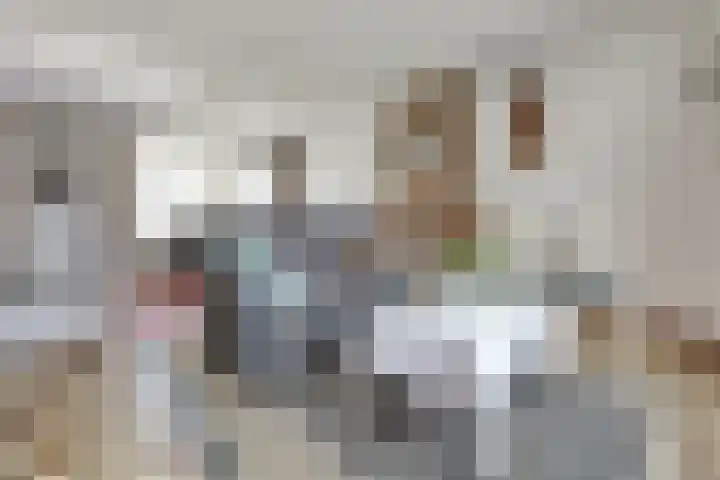 Albrecht Rodenbachstraat 10 Waalwijk thumbnail 6