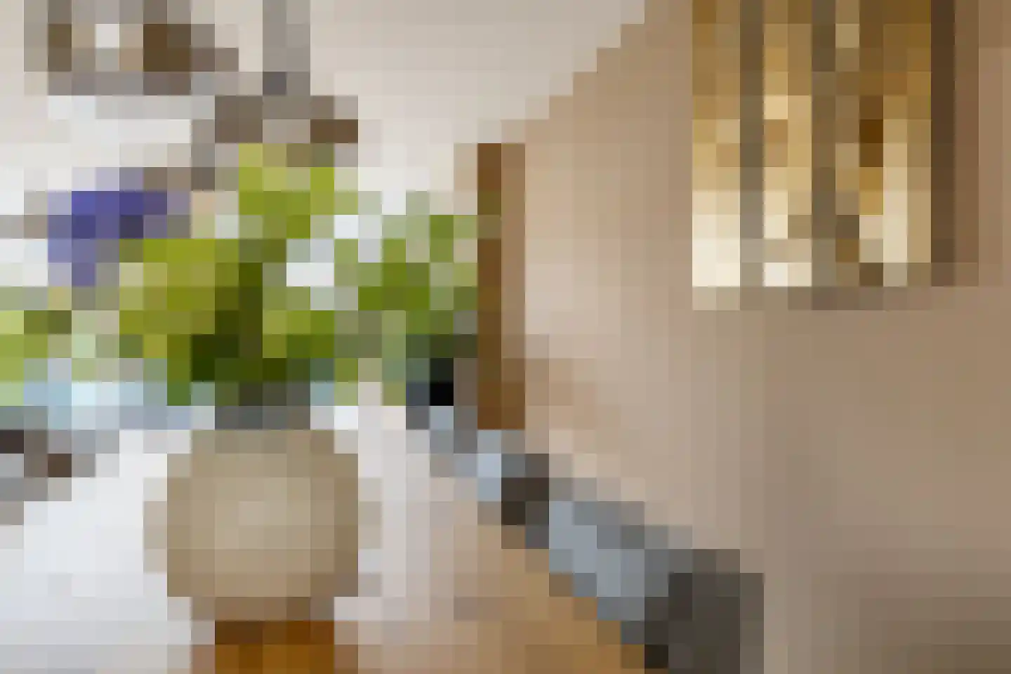 Albrecht Sprengerstraat 3 Purmerend thumbnail 11