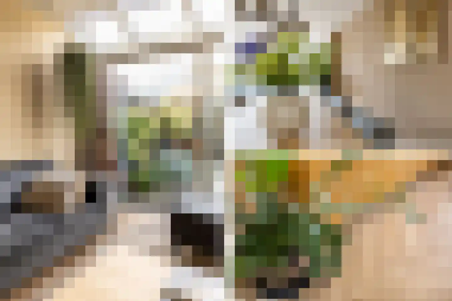 Albrecht Sprengerstraat 3 Purmerend thumbnail 15