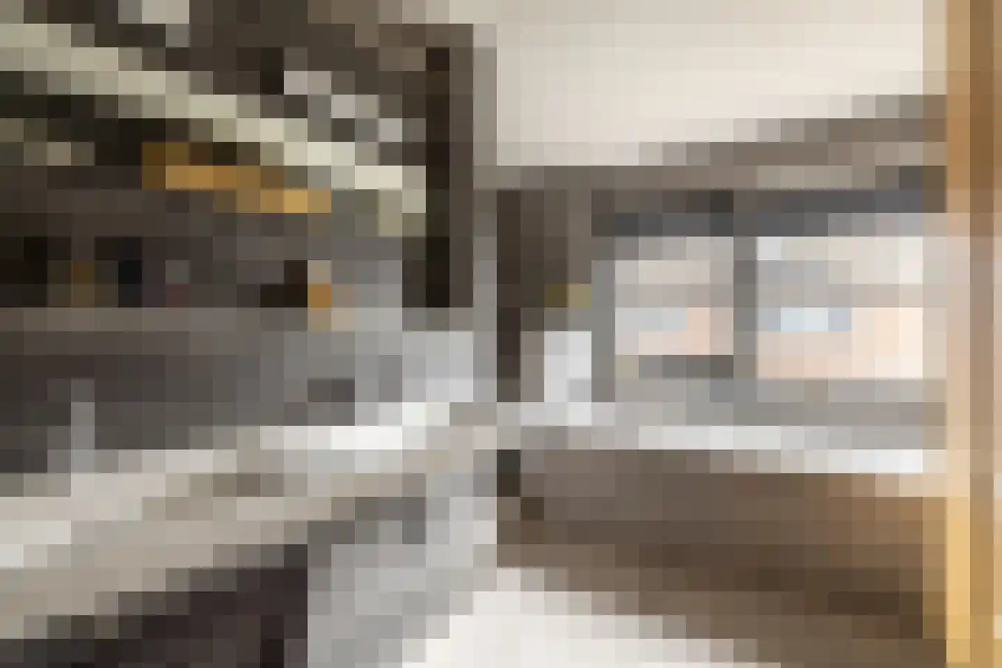 Albrecht Sprengerstraat 3 Purmerend thumbnail 31