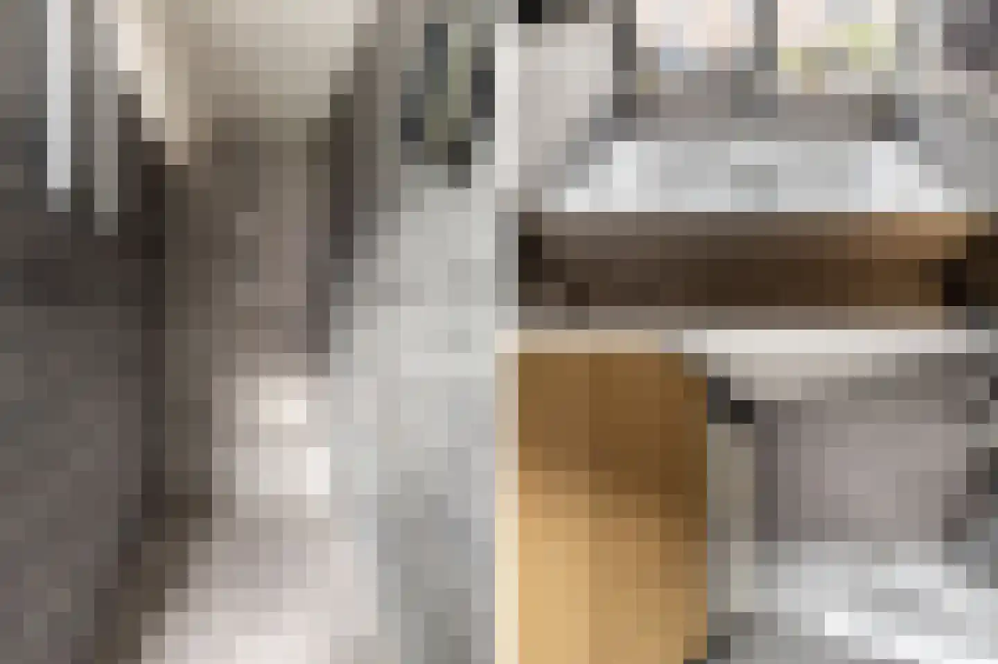 Albrecht Sprengerstraat 3 Purmerend thumbnail 32