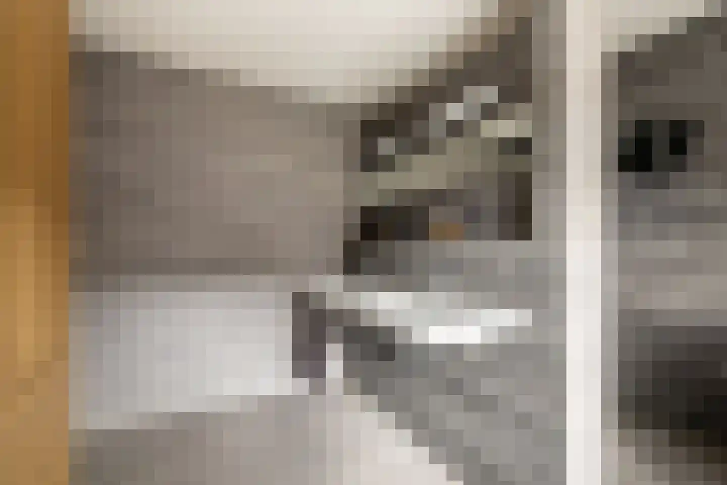 Albrecht Sprengerstraat 3 Purmerend thumbnail 33