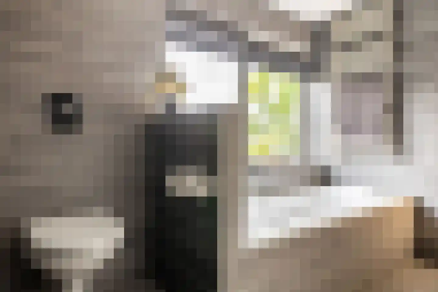 Albrecht Sprengerstraat 3 Purmerend thumbnail 34
