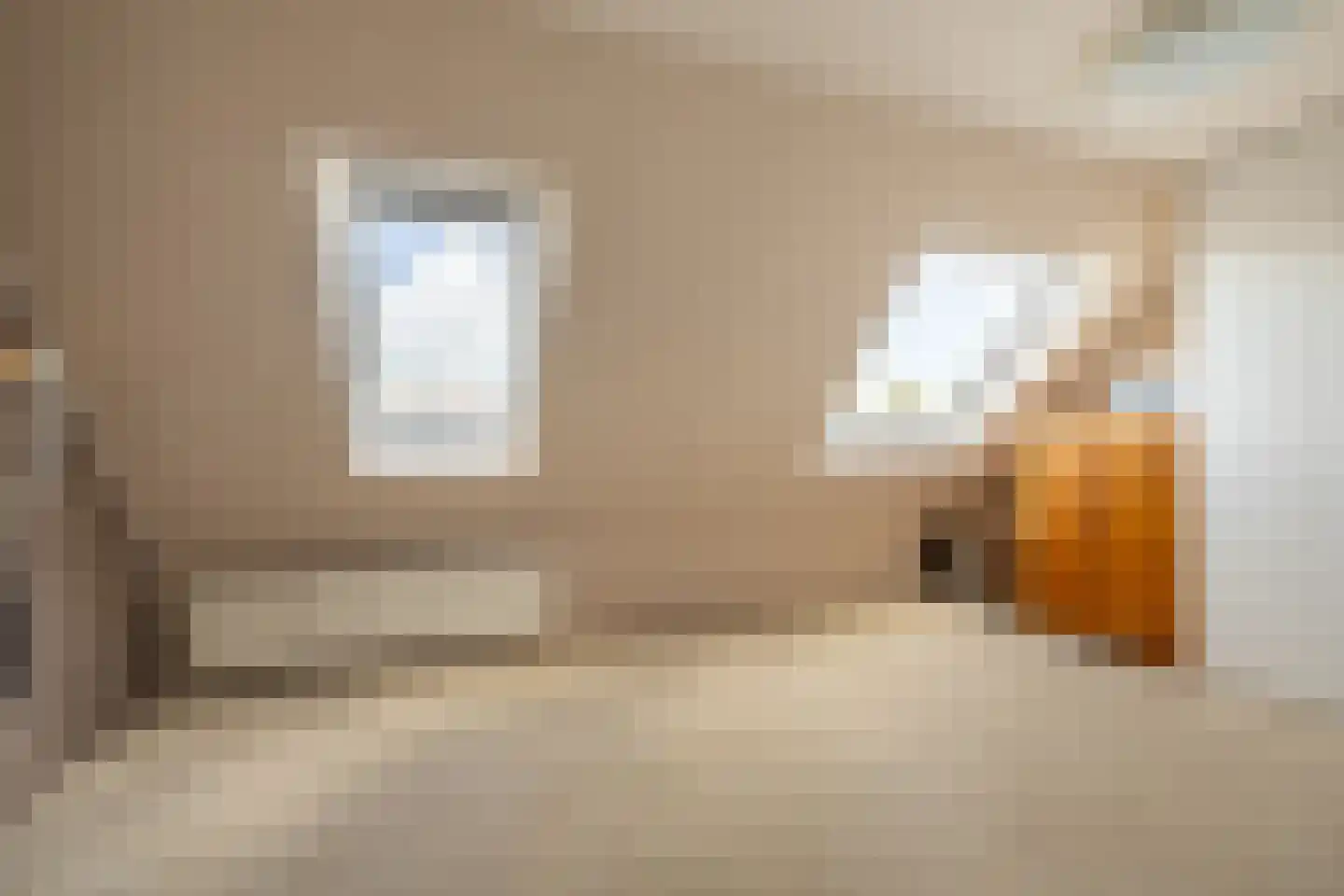 Albrecht Sprengerstraat 3 Purmerend thumbnail 38