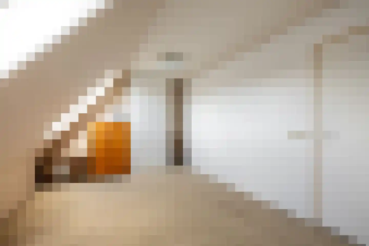 Albrecht Sprengerstraat 3 Purmerend thumbnail 39