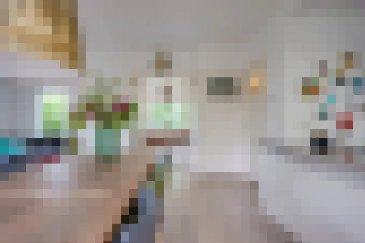 Albrecht Thaerlaan 20 Utrecht thumbnail 11