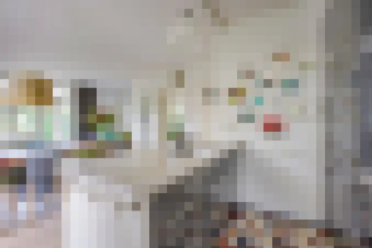 Albrecht Thaerlaan 20 Utrecht thumbnail 19