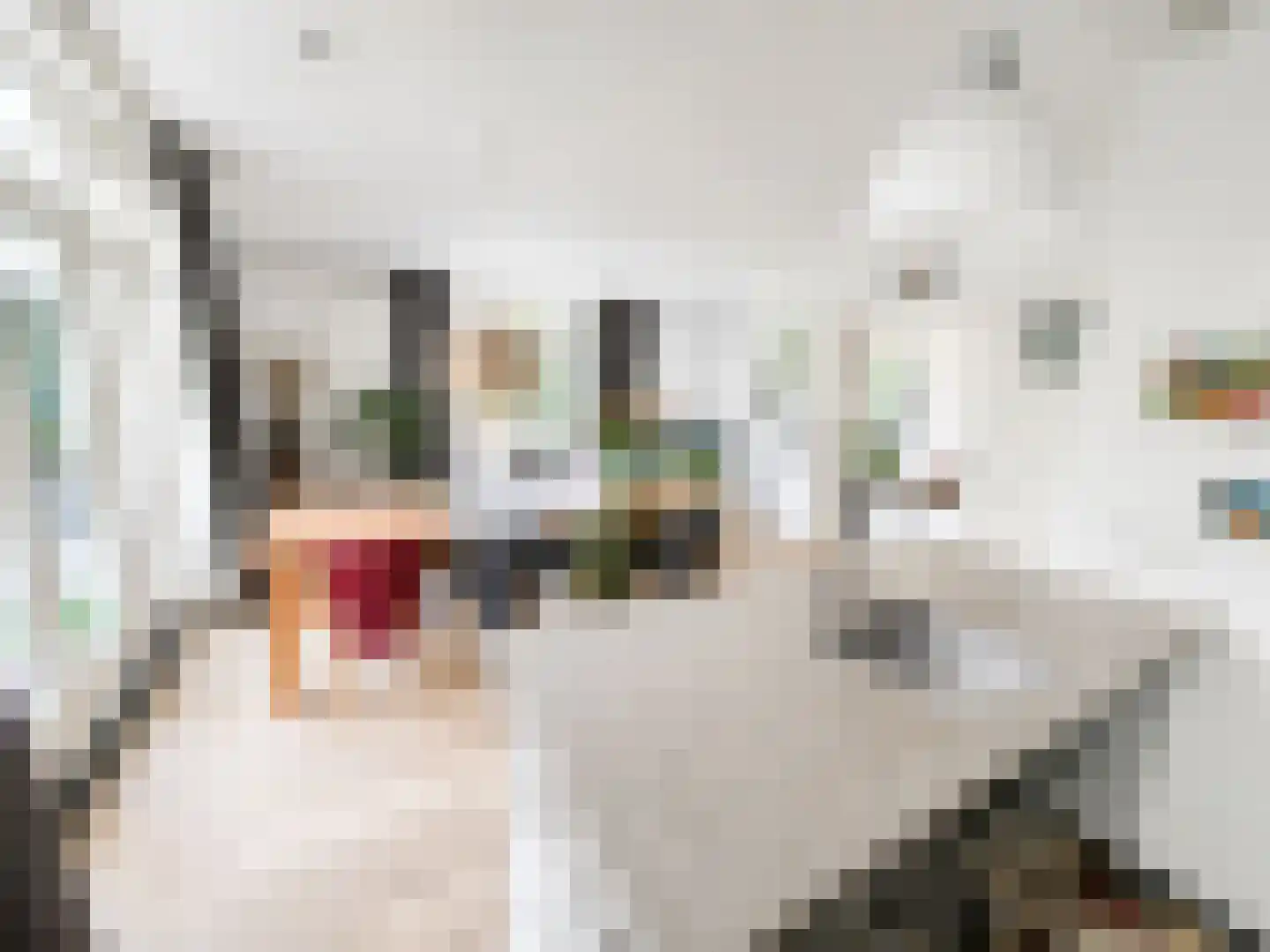 Albrecht Thaerlaan 20 Utrecht thumbnail 20