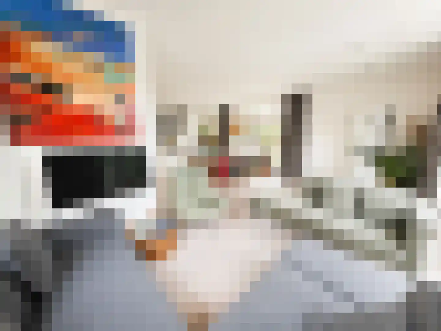 Albrecht Thaerlaan 20 Utrecht thumbnail 24