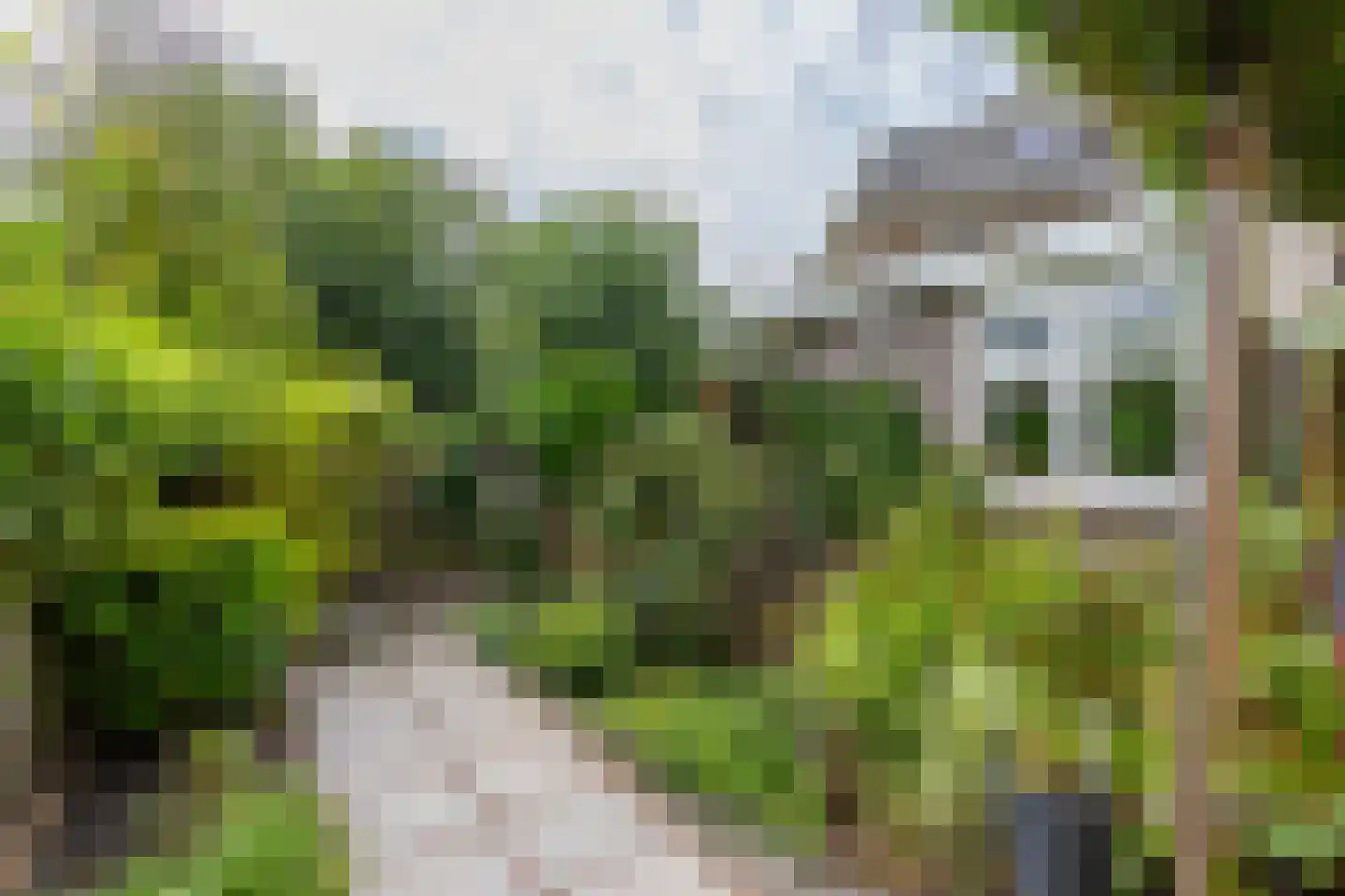 Albrecht Thaerlaan 20 Utrecht thumbnail 32
