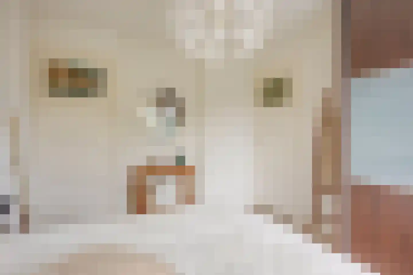 Albrecht Thaerlaan 20 Utrecht thumbnail 38