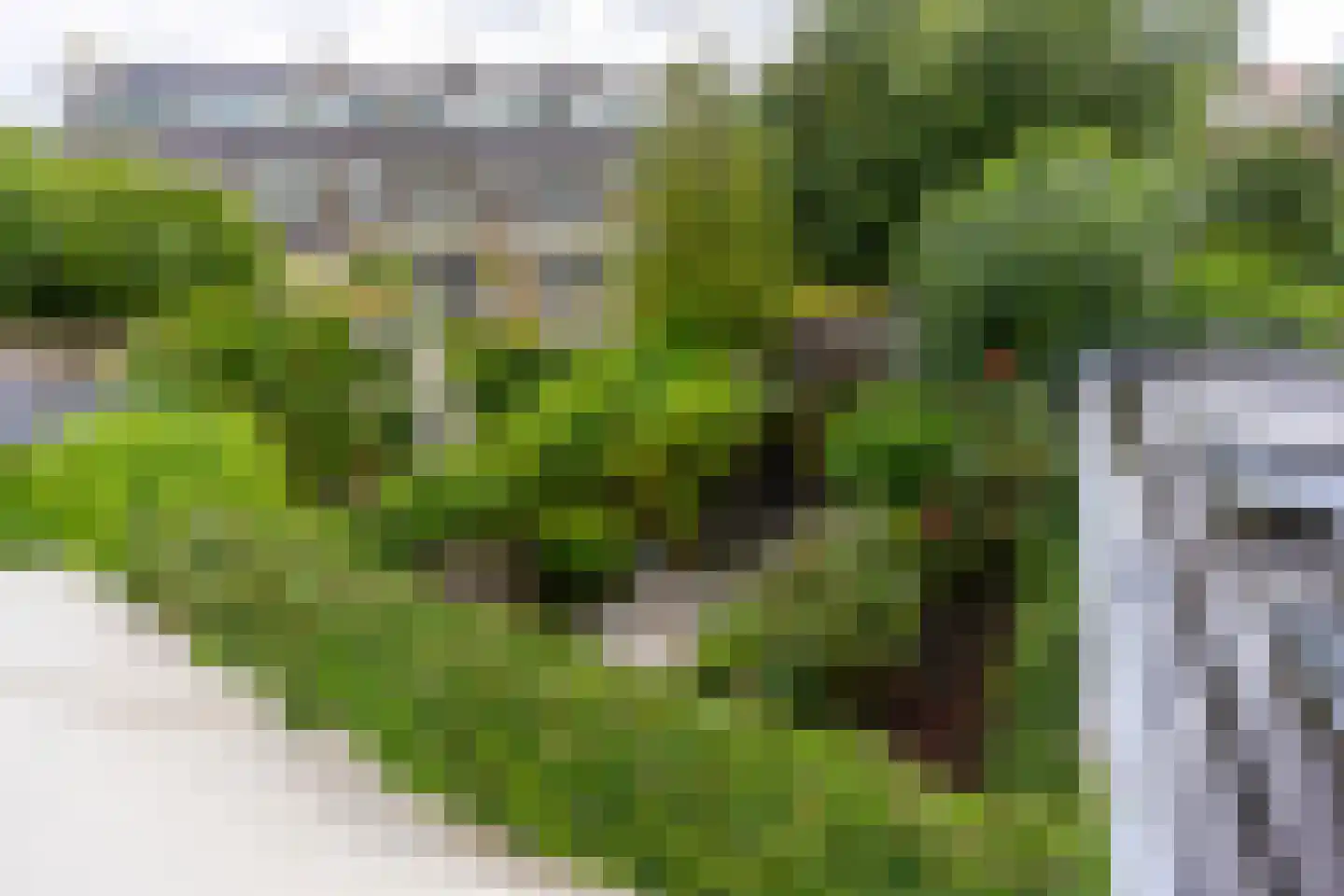 Albrecht Thaerlaan 20 Utrecht thumbnail 41