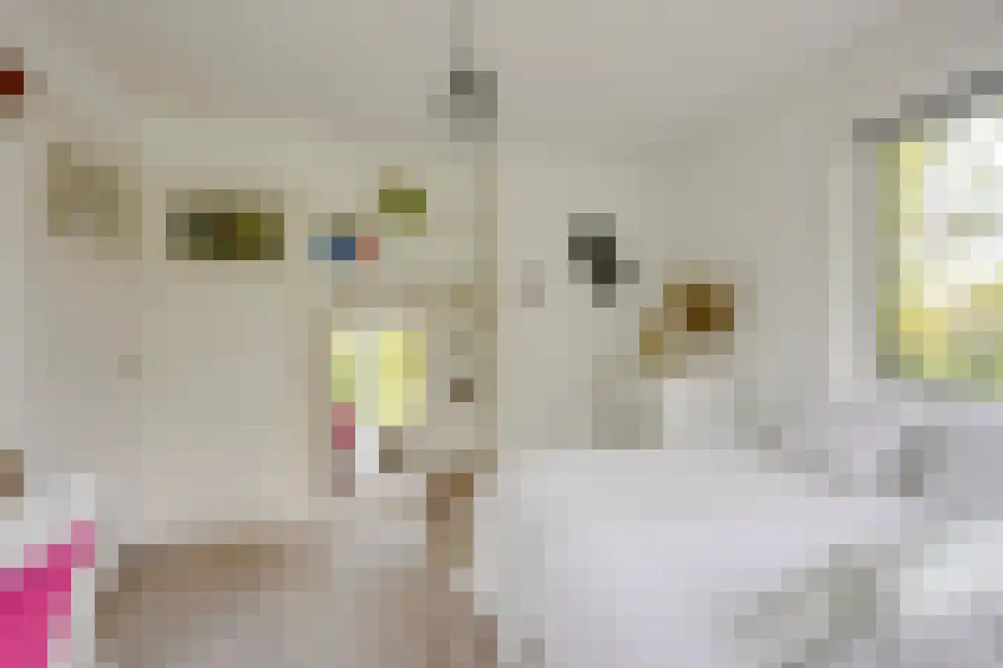 Albrecht Thaerlaan 20 Utrecht thumbnail 43