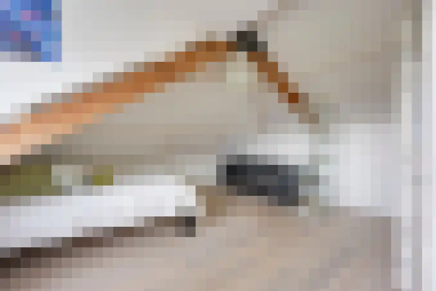 Albrecht Thaerlaan 20 Utrecht thumbnail 52