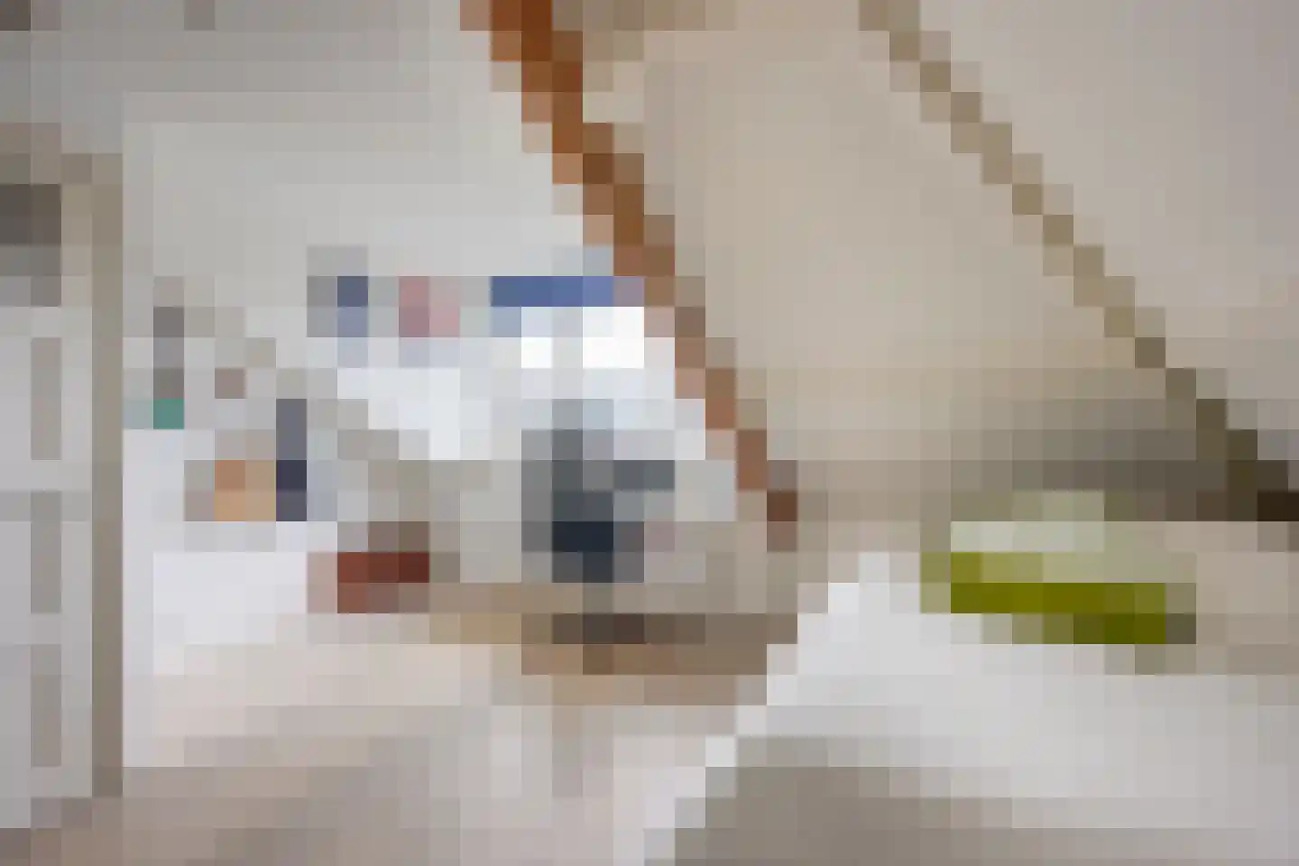 Albrecht Thaerlaan 20 Utrecht thumbnail 54