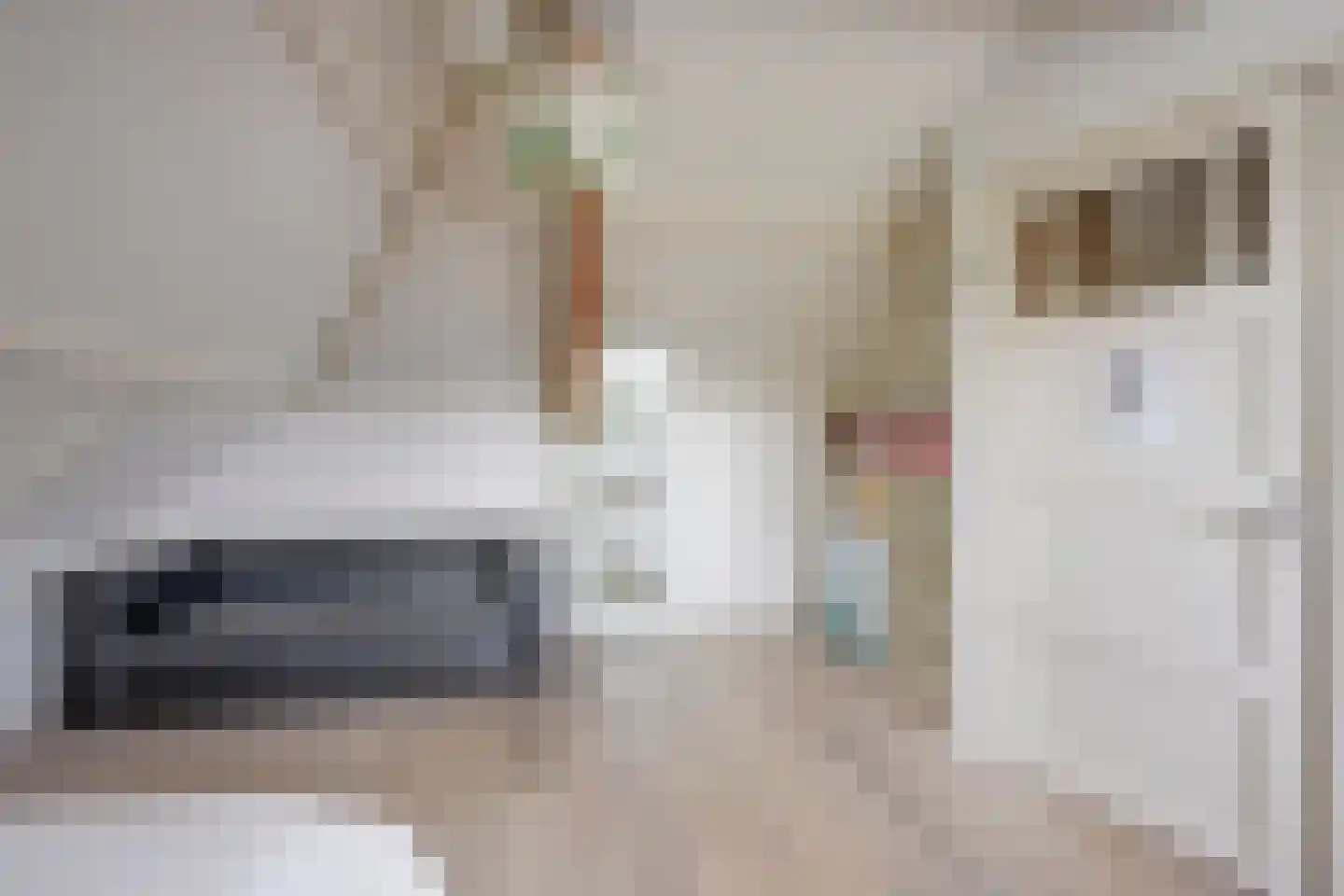 Albrecht Thaerlaan 20 Utrecht thumbnail 55