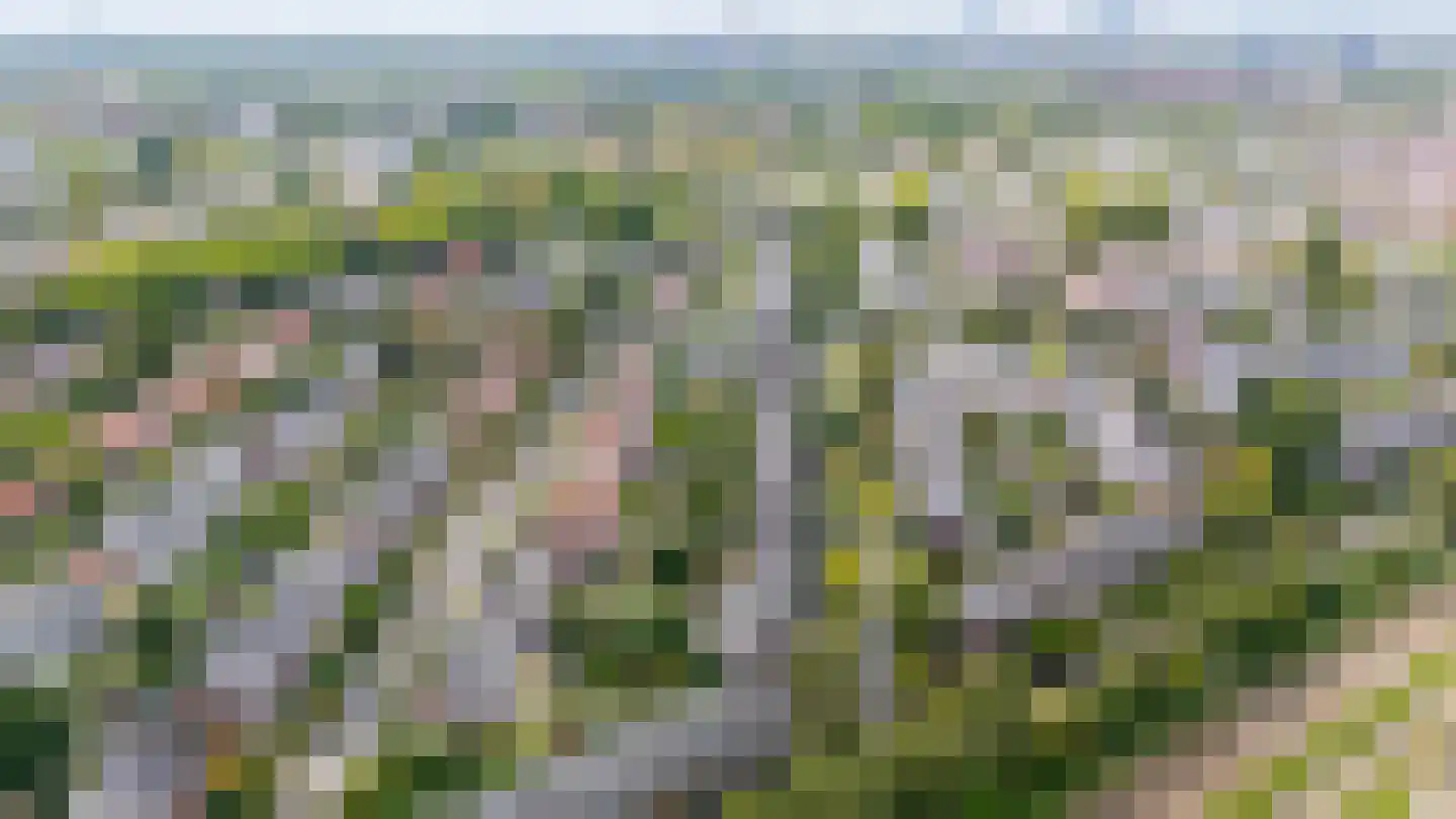 Albrecht Thaerlaan 20 Utrecht thumbnail 60