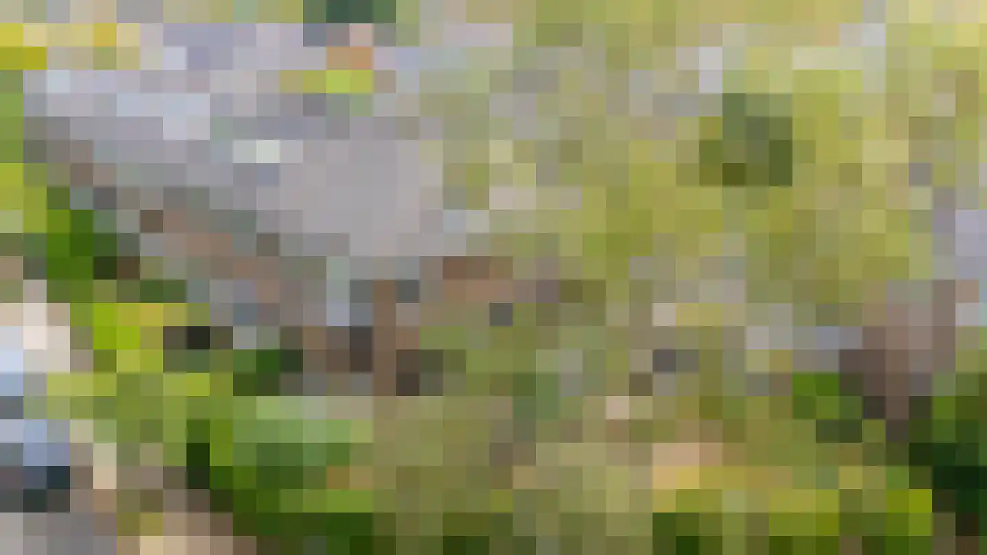 Albrecht Thaerlaan 20 Utrecht thumbnail 61