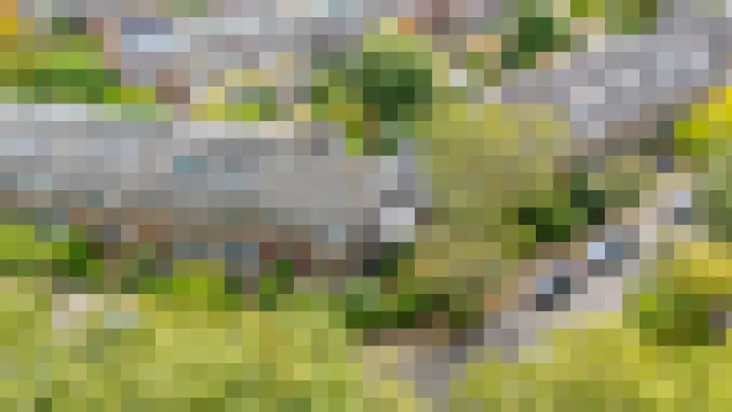 Albrecht Thaerlaan 20 Utrecht thumbnail 62