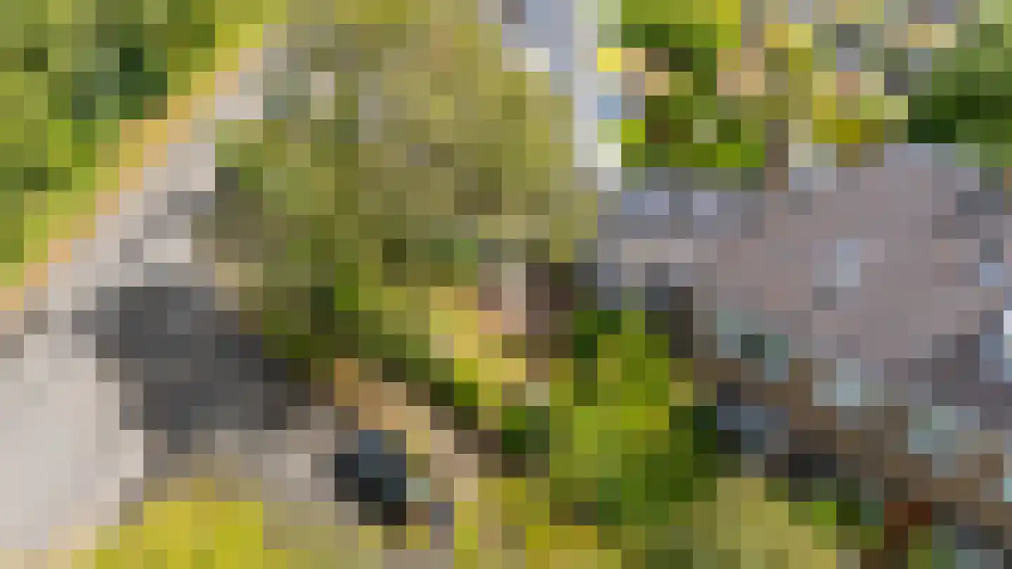 Albrecht Thaerlaan 20 Utrecht thumbnail 63