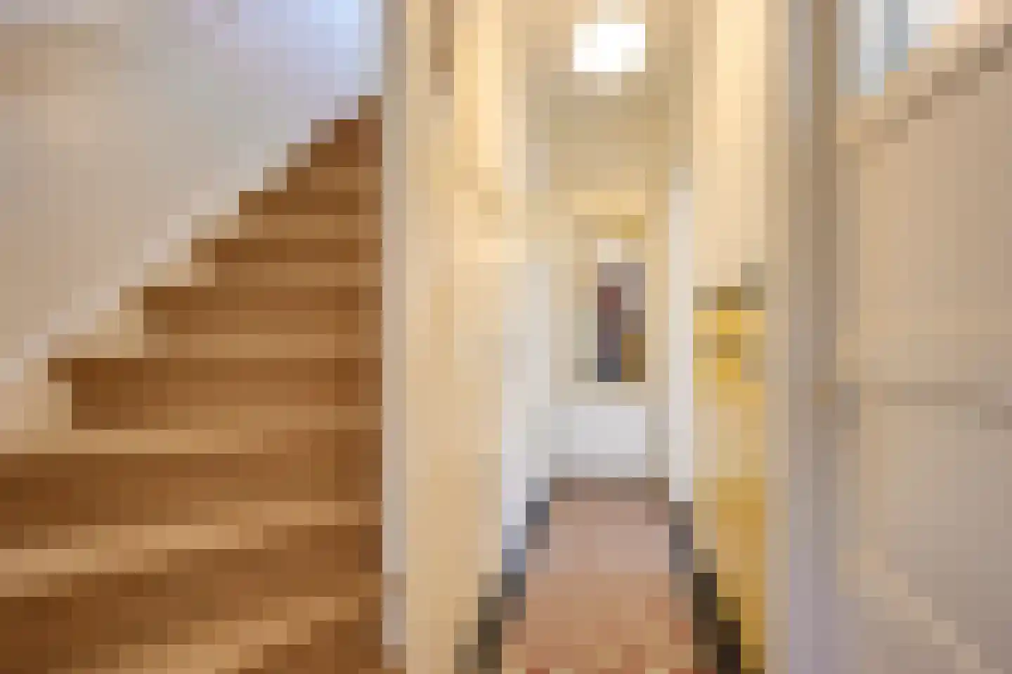 Albrecht Thaerlaan 20 Utrecht thumbnail 8