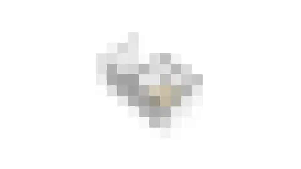 Albrecht Thaerlaan 4 Utrecht thumbnail 102
