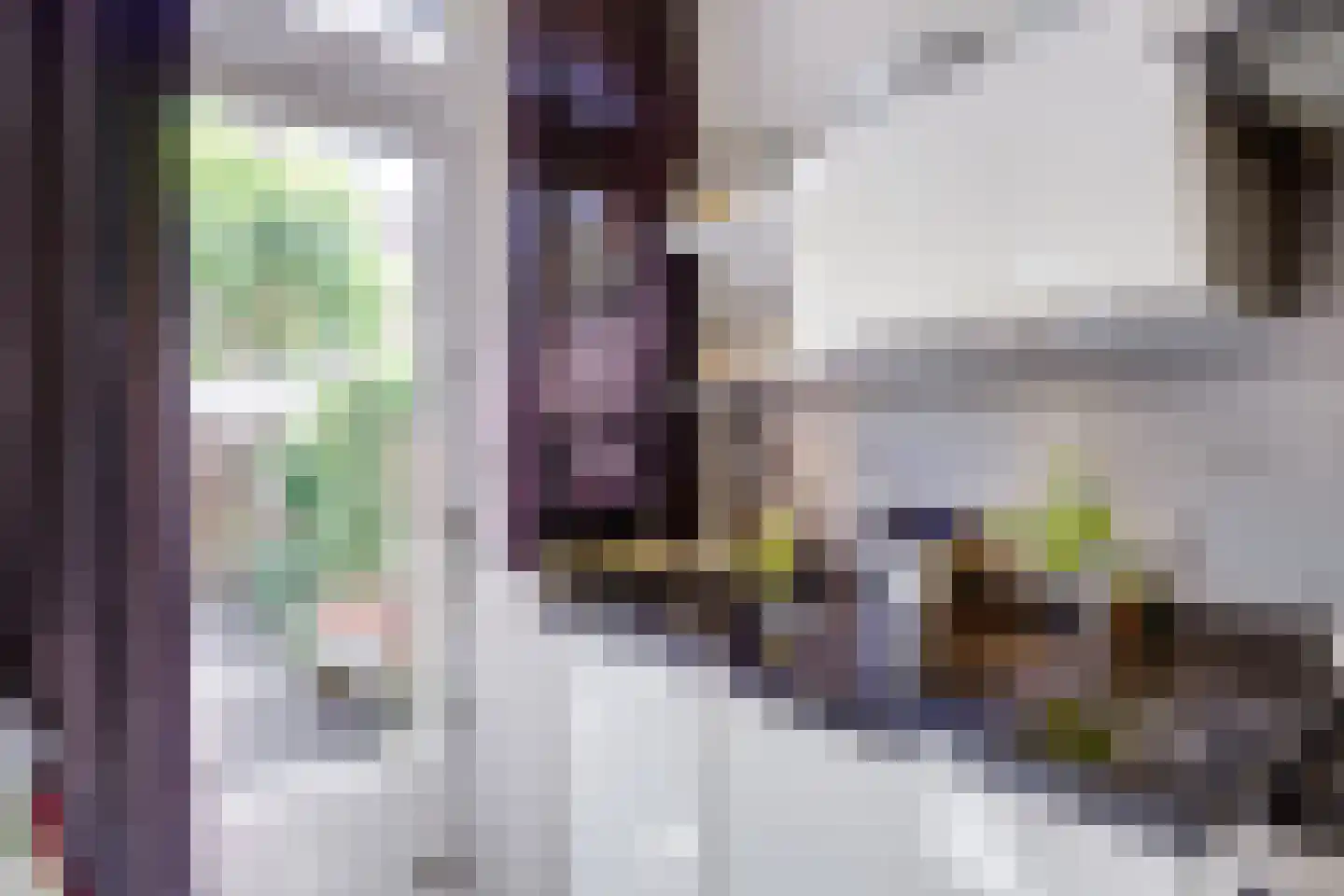 Albrecht Thaerlaan 4 Utrecht thumbnail 25