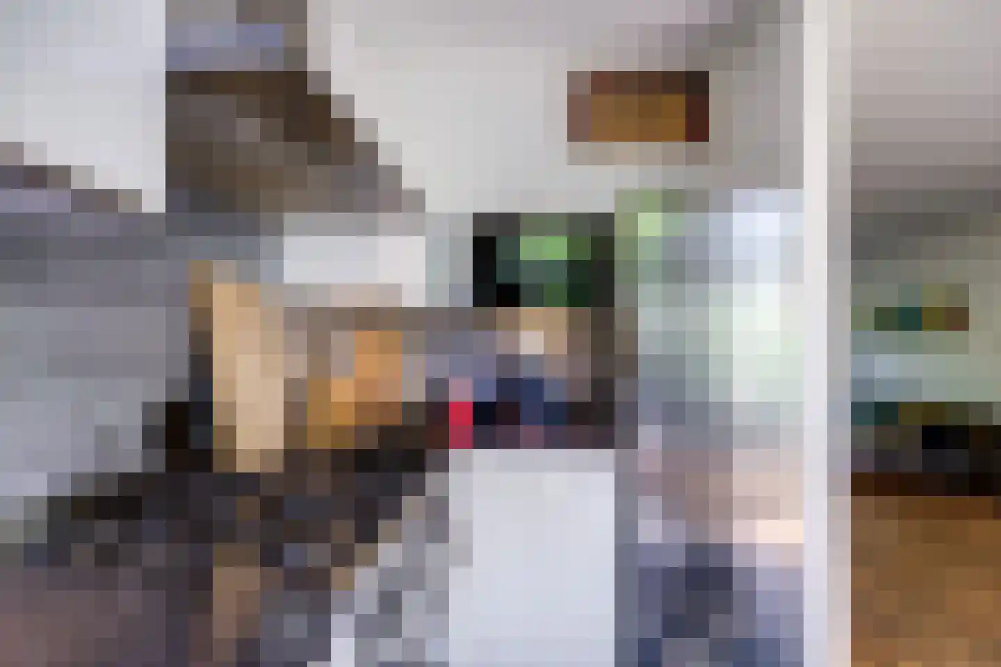 Albrecht Thaerlaan 4 Utrecht thumbnail 26