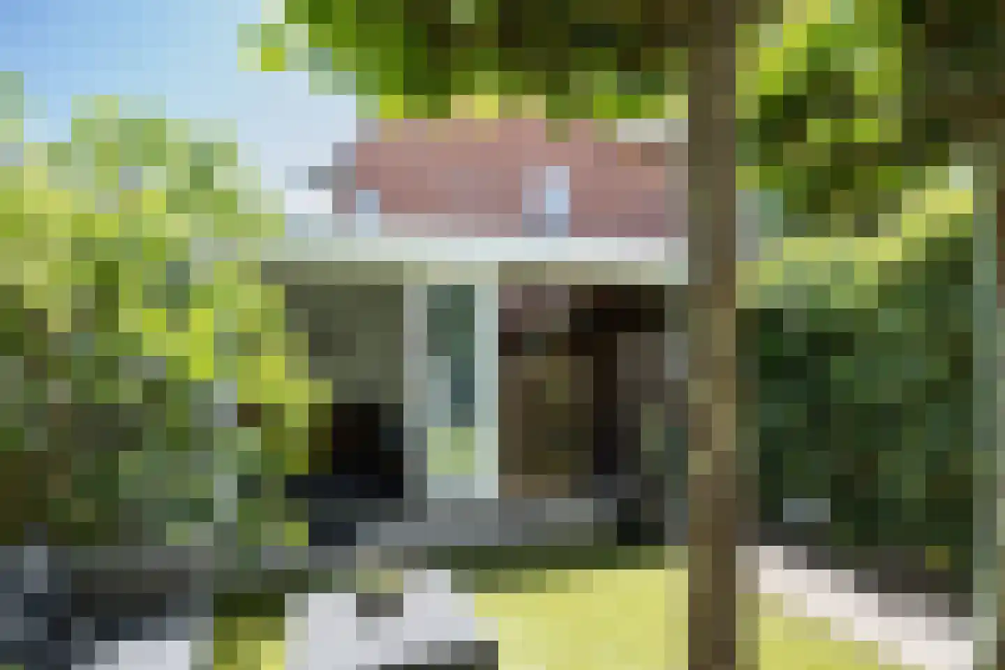Albrecht Thaerlaan 4 Utrecht thumbnail 31