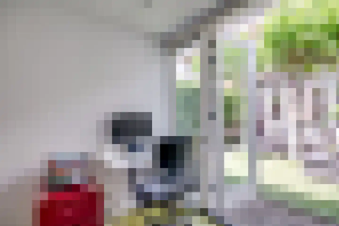 Albrecht Thaerlaan 4 Utrecht thumbnail 34
