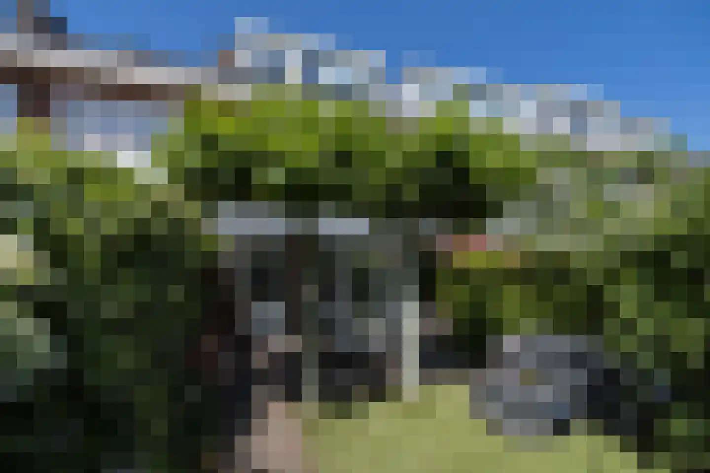 Albrecht Thaerlaan 4 Utrecht thumbnail 40