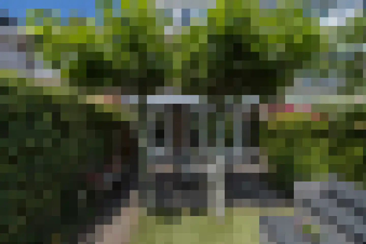 Albrecht Thaerlaan 4 Utrecht thumbnail 41