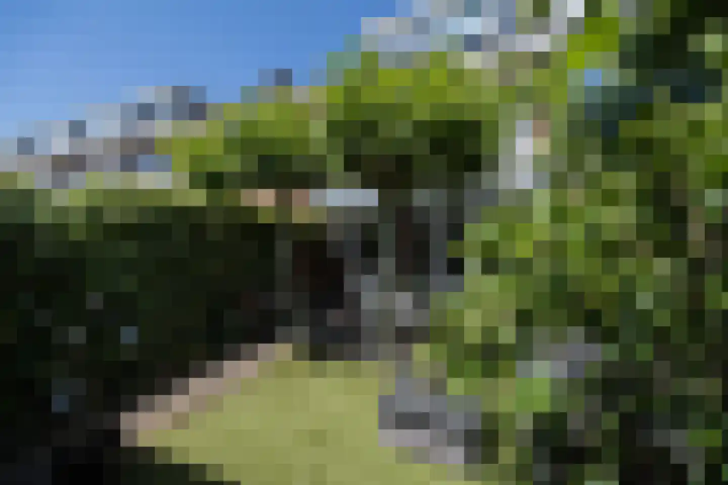Albrecht Thaerlaan 4 Utrecht thumbnail 42