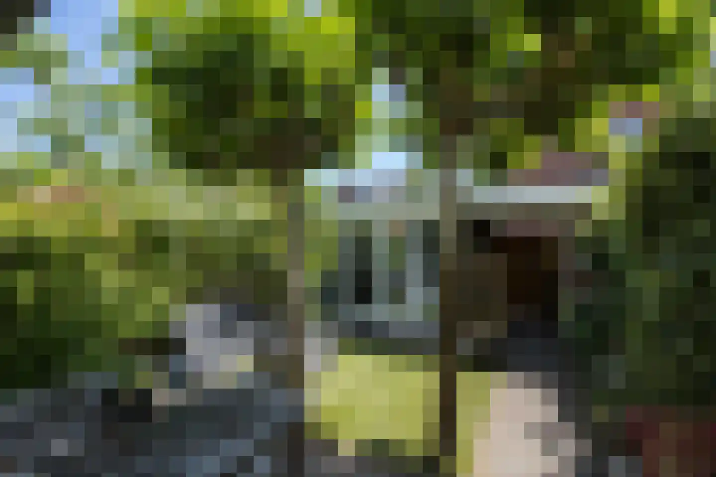 Albrecht Thaerlaan 4 Utrecht thumbnail 46