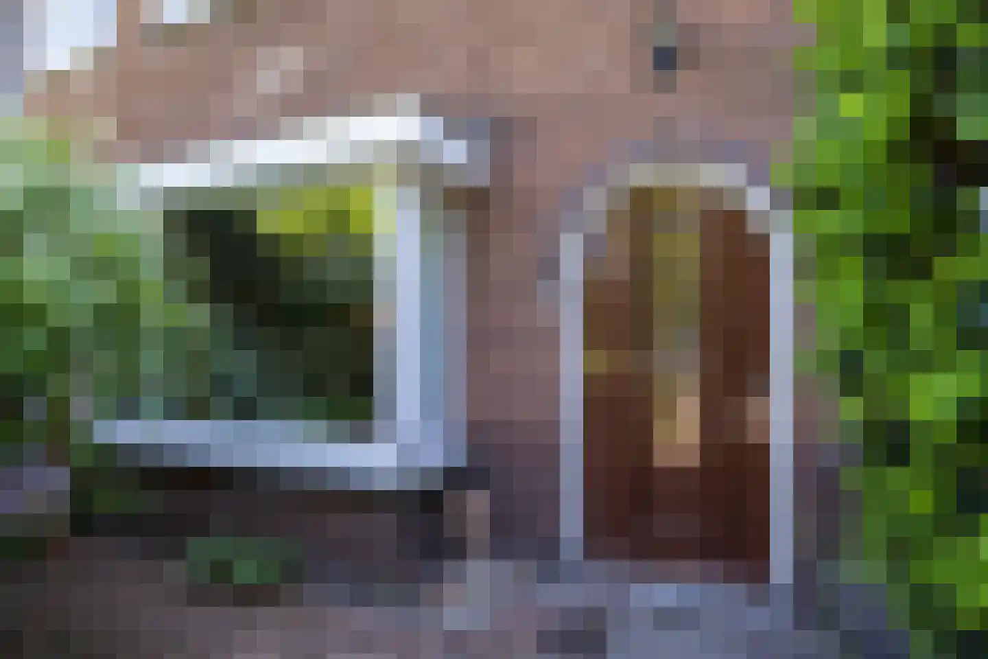 Albrecht Thaerlaan 4 Utrecht thumbnail 6