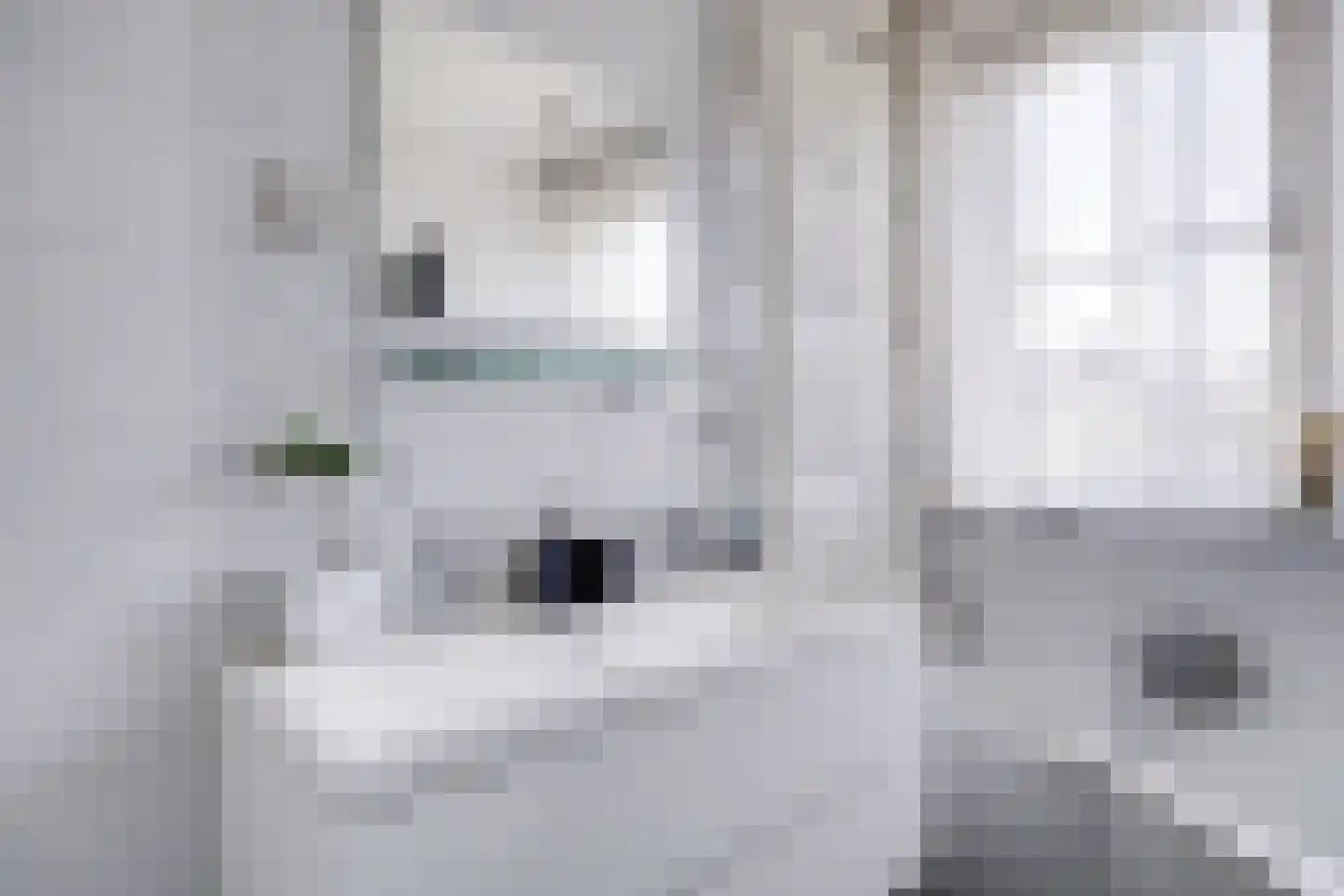 Albrecht Thaerlaan 4 Utrecht thumbnail 71