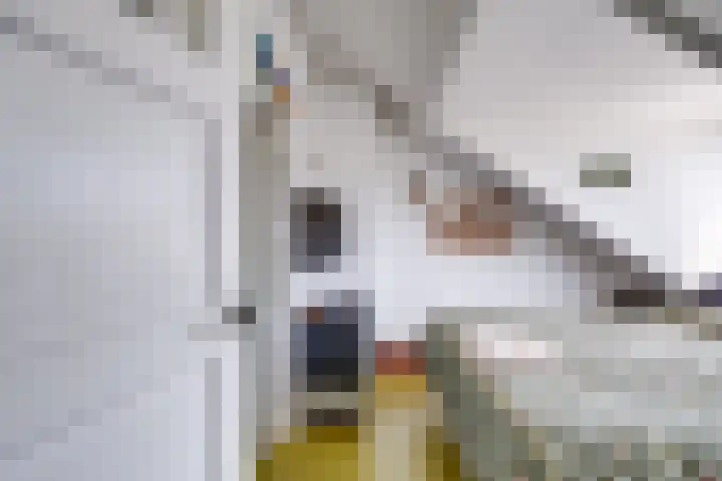 Albrecht Thaerlaan 4 Utrecht thumbnail 75