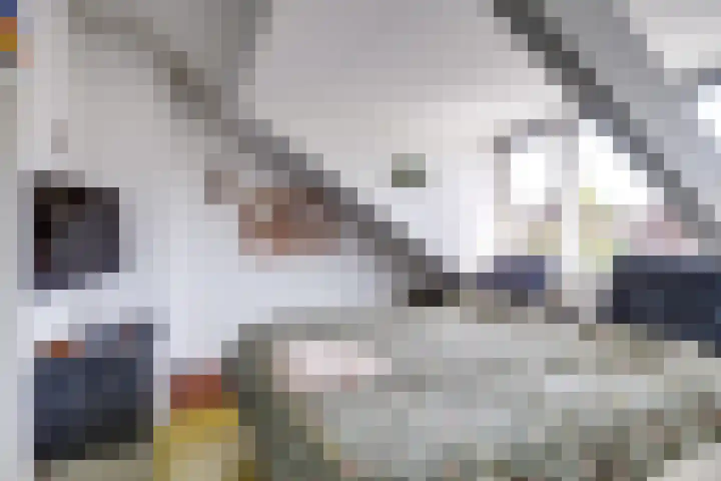 Albrecht Thaerlaan 4 Utrecht thumbnail 76