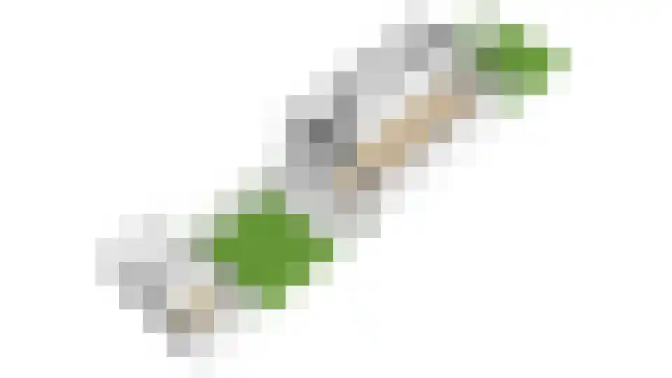 Albrecht Thaerlaan 4 Utrecht thumbnail 90