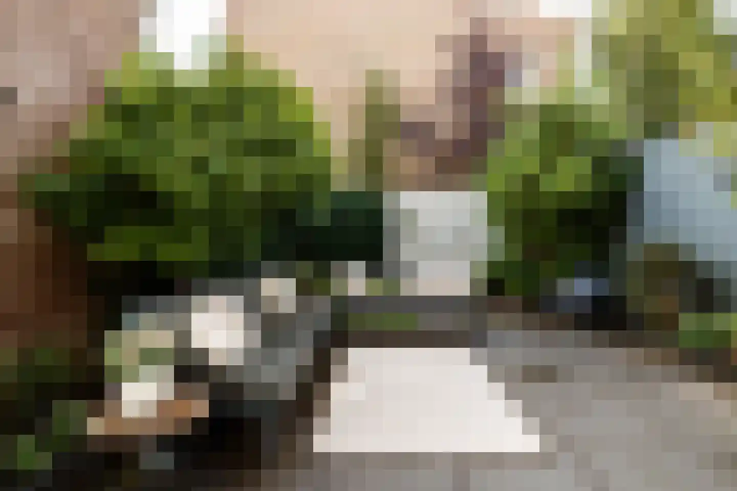 Albrecht Thaerlaan 57 Utrecht thumbnail 16