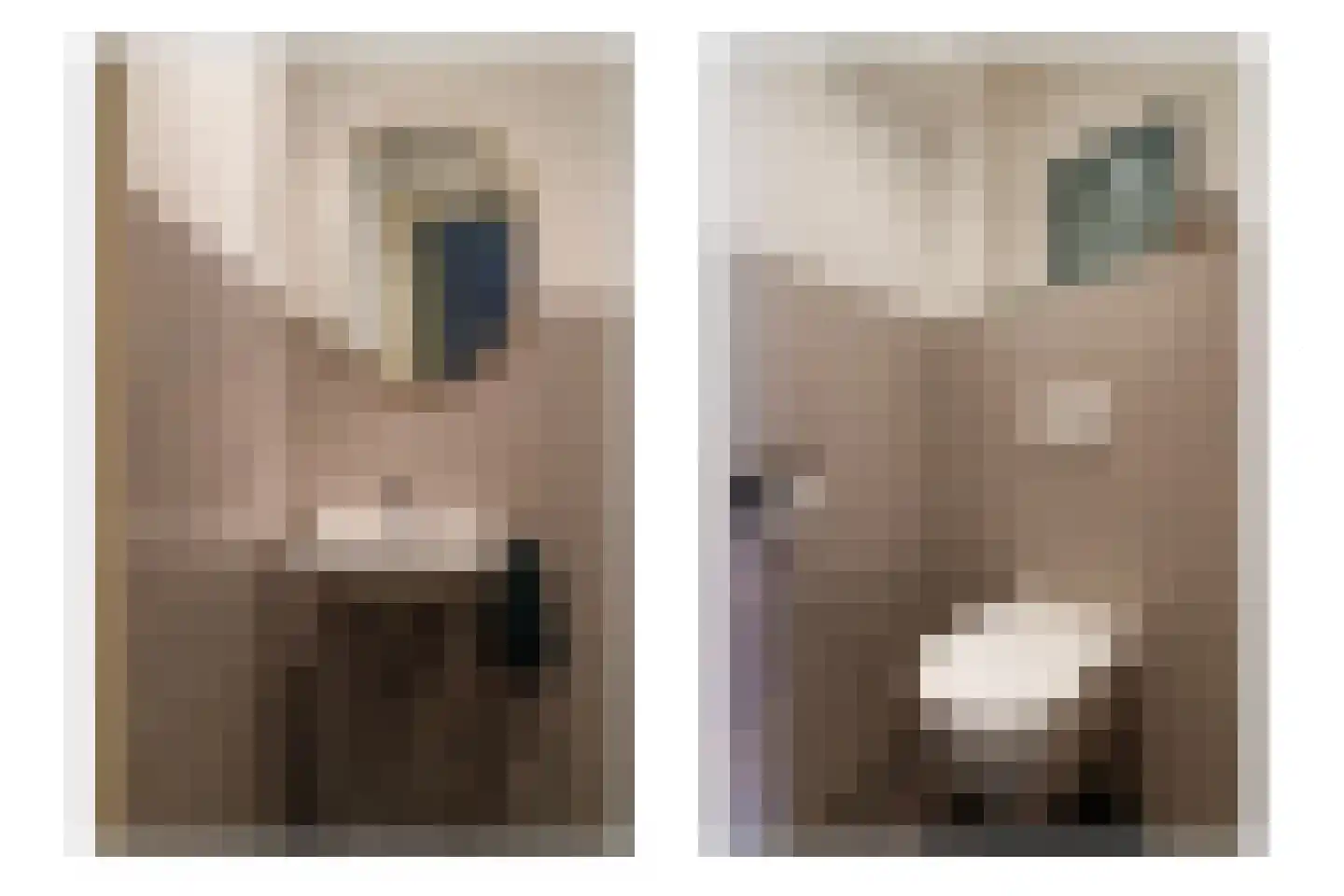 Albrecht Thaerlaan 57 Utrecht thumbnail 19