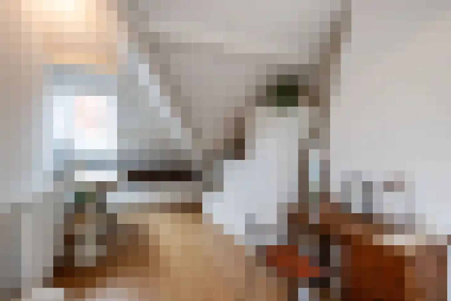 Albrecht Thaerlaan 57 Utrecht thumbnail 31